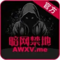 真实暗网